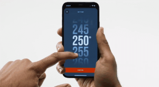 digitalfan_temperaturkontroll_display_masterbuilt.gif